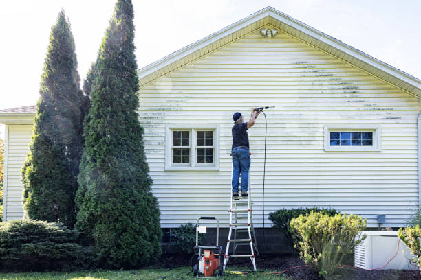 Best House Exterior Washing  in Portland, IN